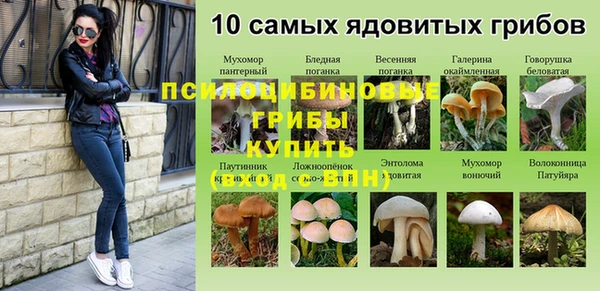 винт Алексин