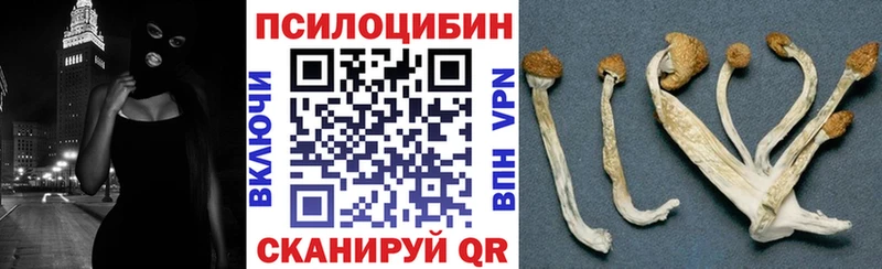 наркотики  Кукмор  Псилоцибиновые грибы прущие грибы 